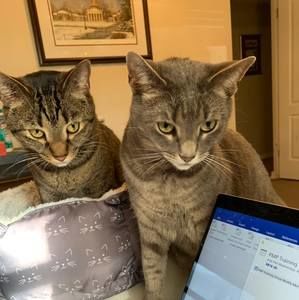 Meet your Posher, Janet